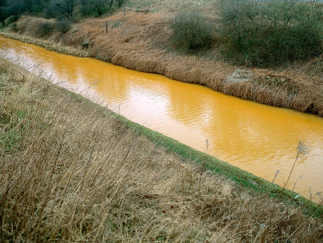 Polluted canal,UK