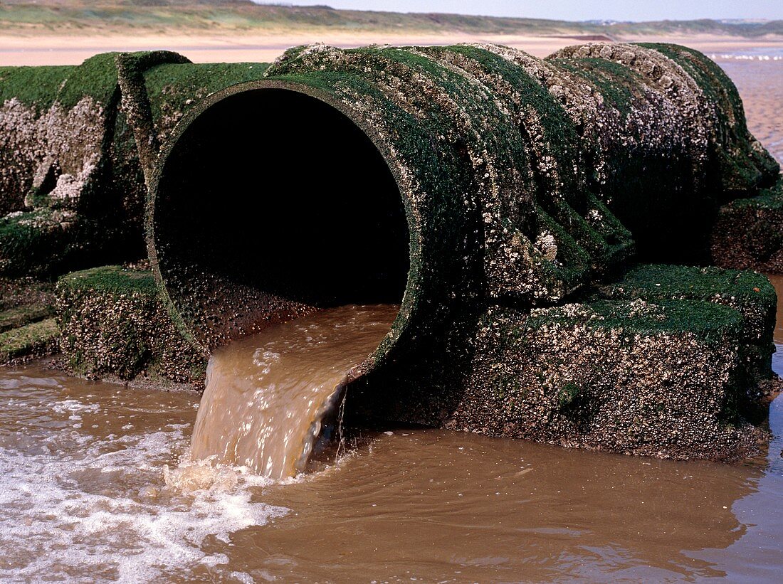 Sewage outlet pipe discharging onto beach