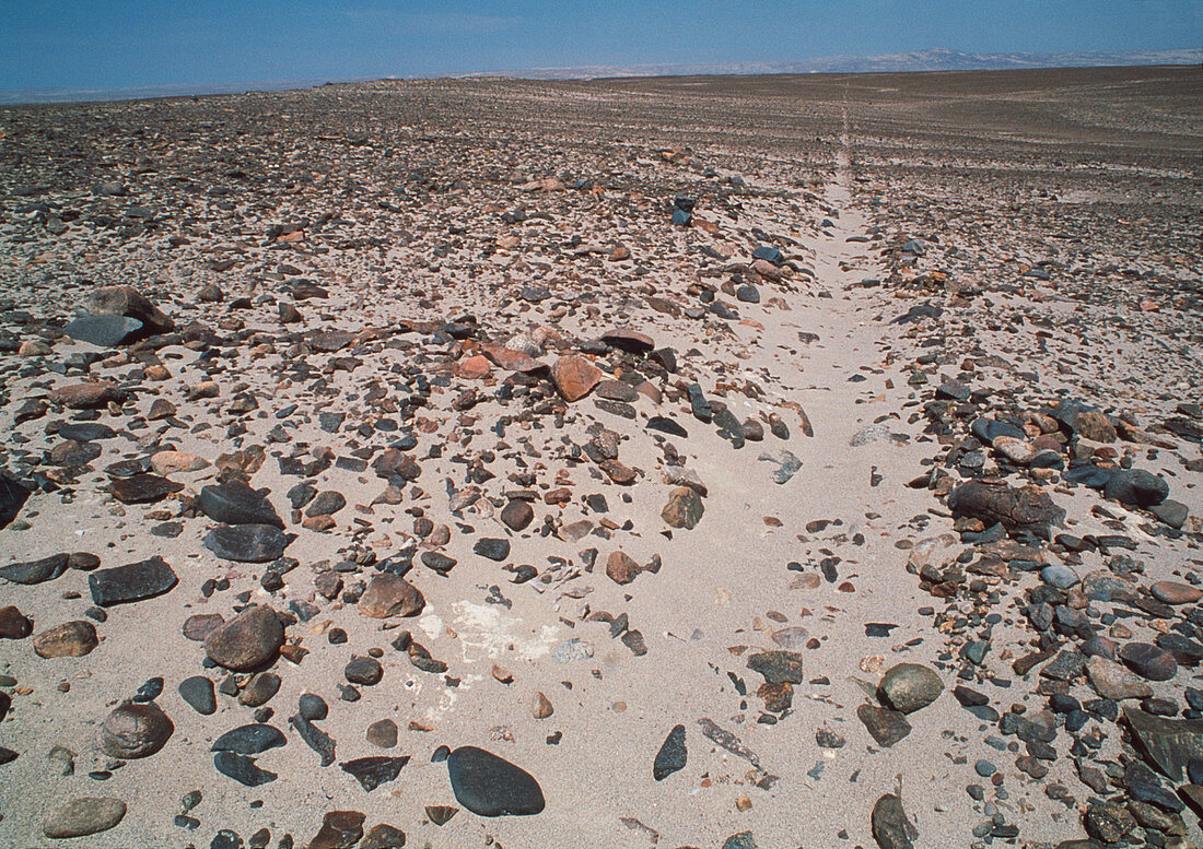 Nazca line