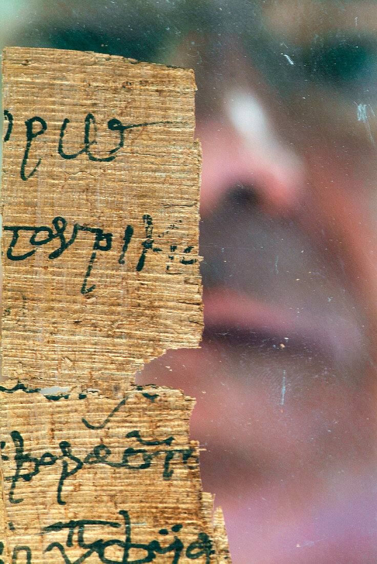 Egyptian papyrus conservation