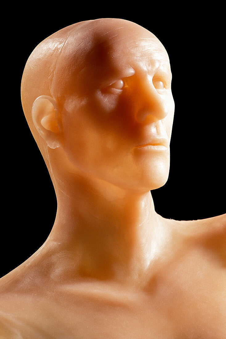 Model of Oetzi the Iceman