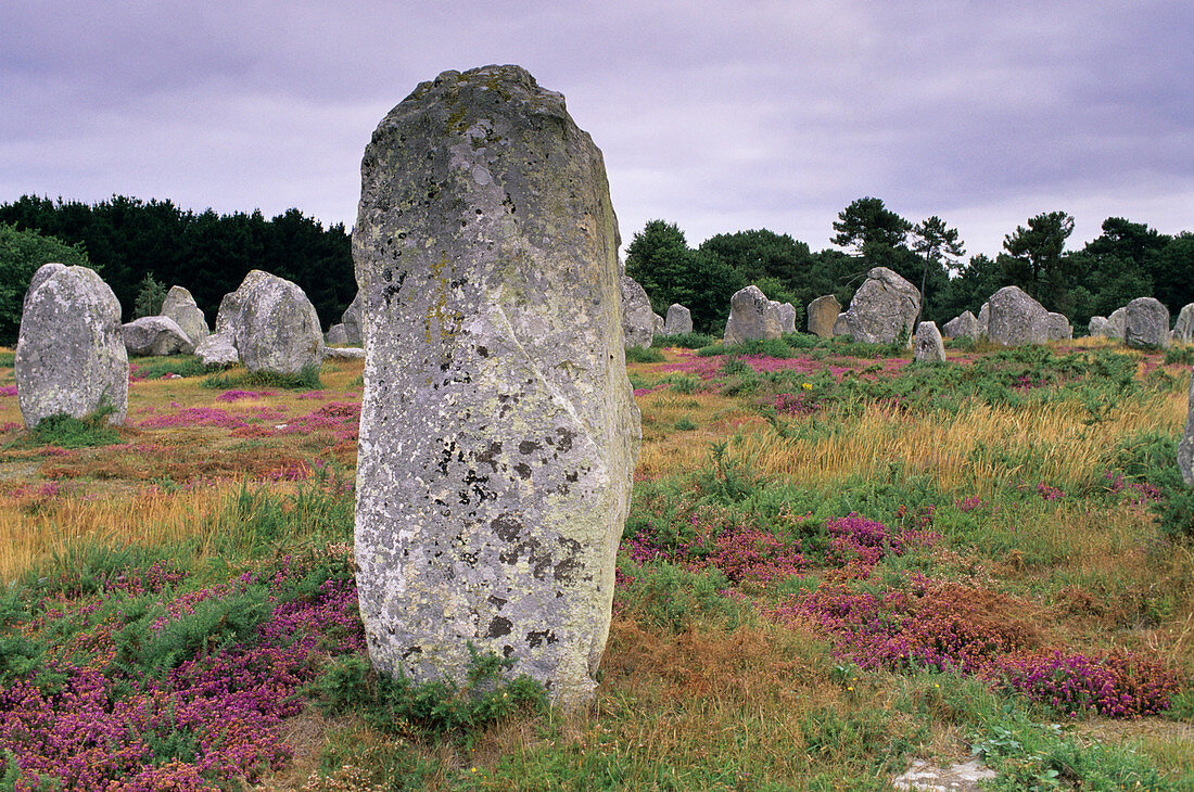 Neolithic stone alignments