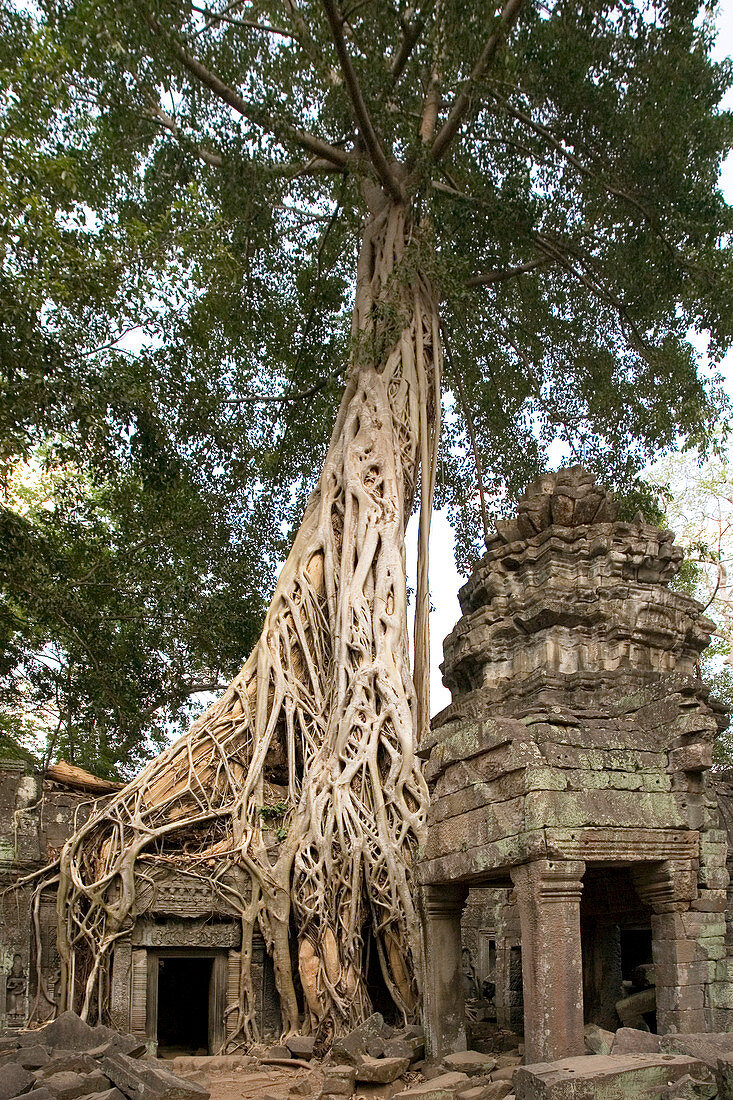 Angkorian temple,Cambodia
