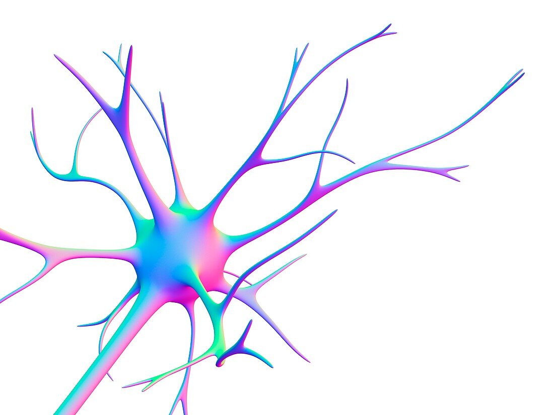 Nerve cell,computer artwork