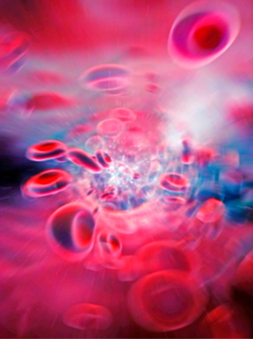 Red blood cells,computer artwork