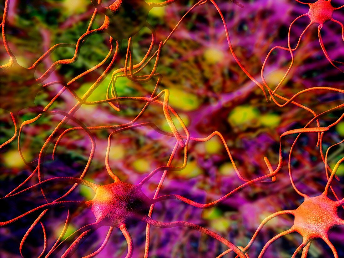 Nerve cells,computer artwork