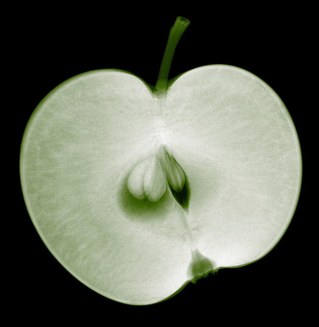 Apple half,X-ray