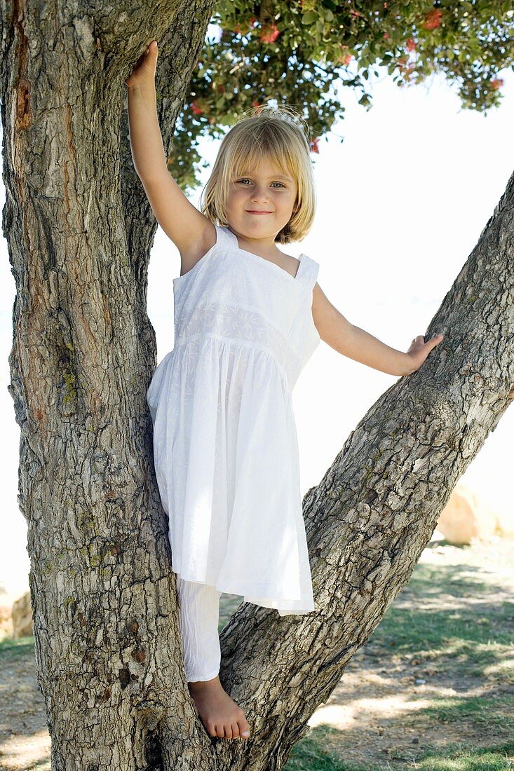 Girl sitting in a tree