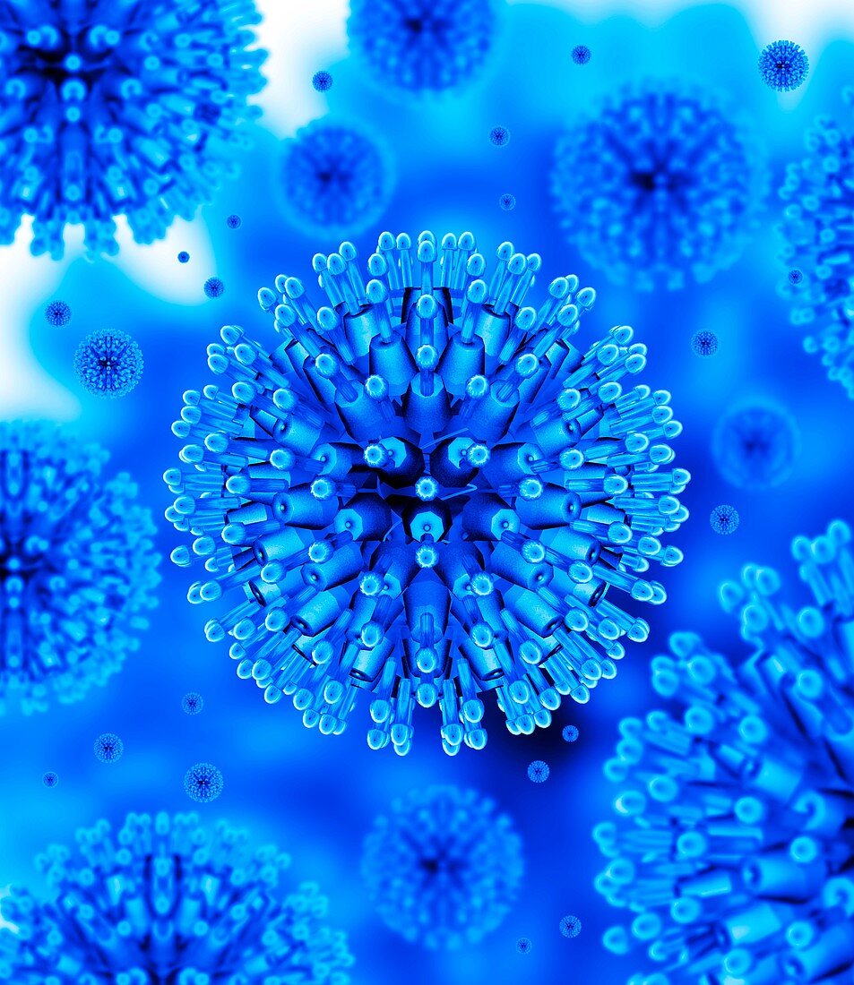 Herpes virus particles,artwork