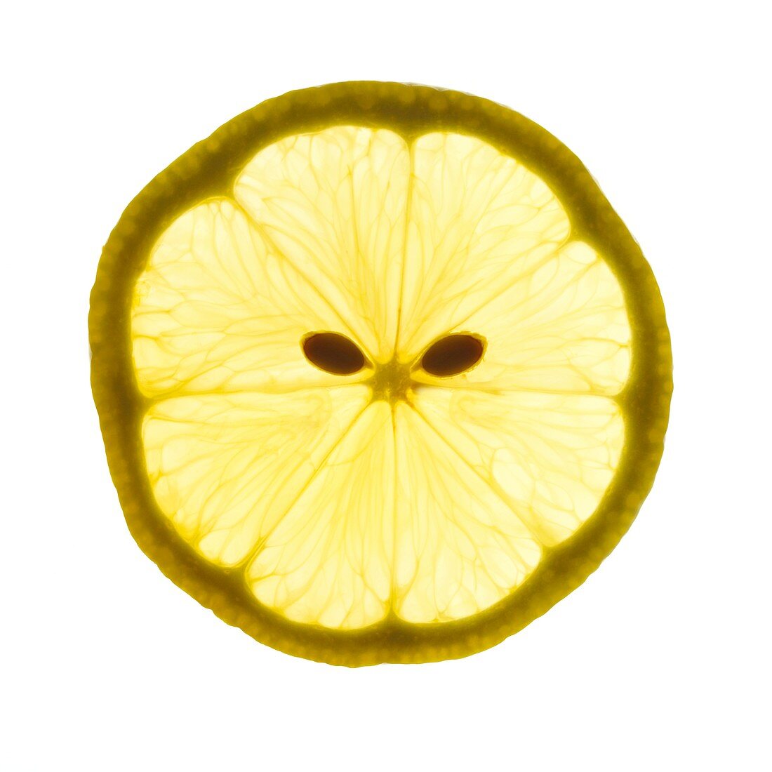 Lemon slice