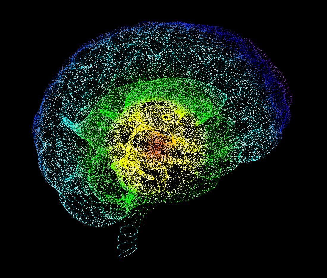 Human brain,conceptual artwork