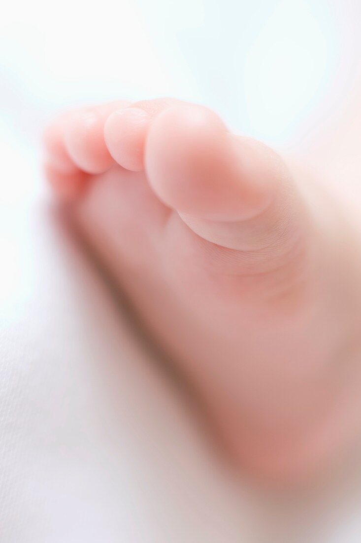 Baby's foot