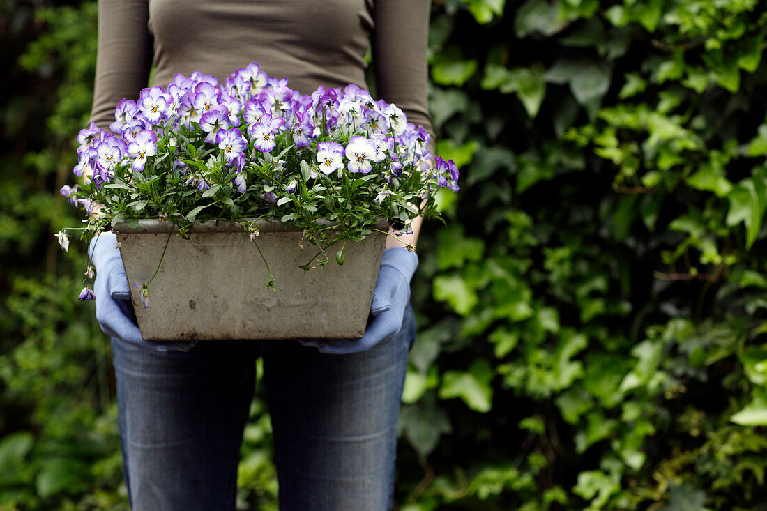 Gardening