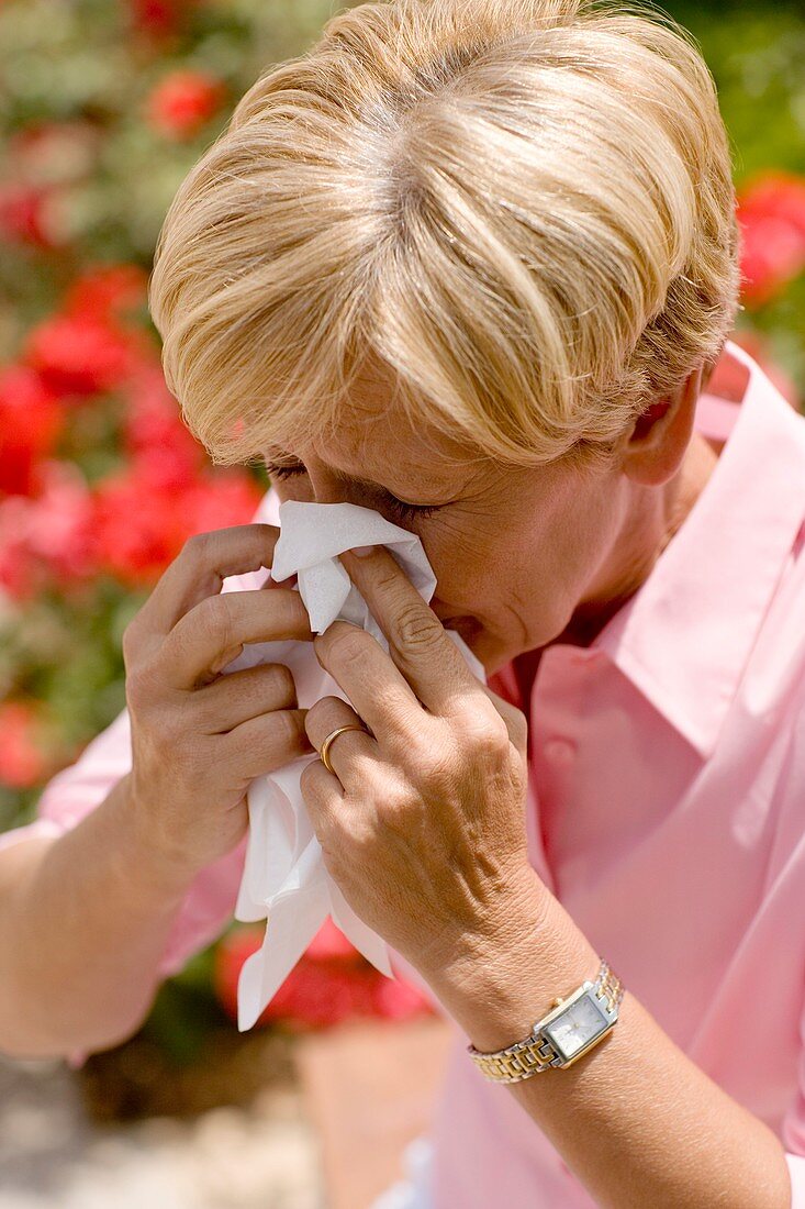 Hay fever