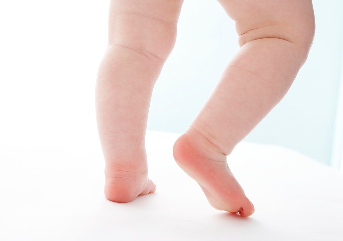 Baby's legs