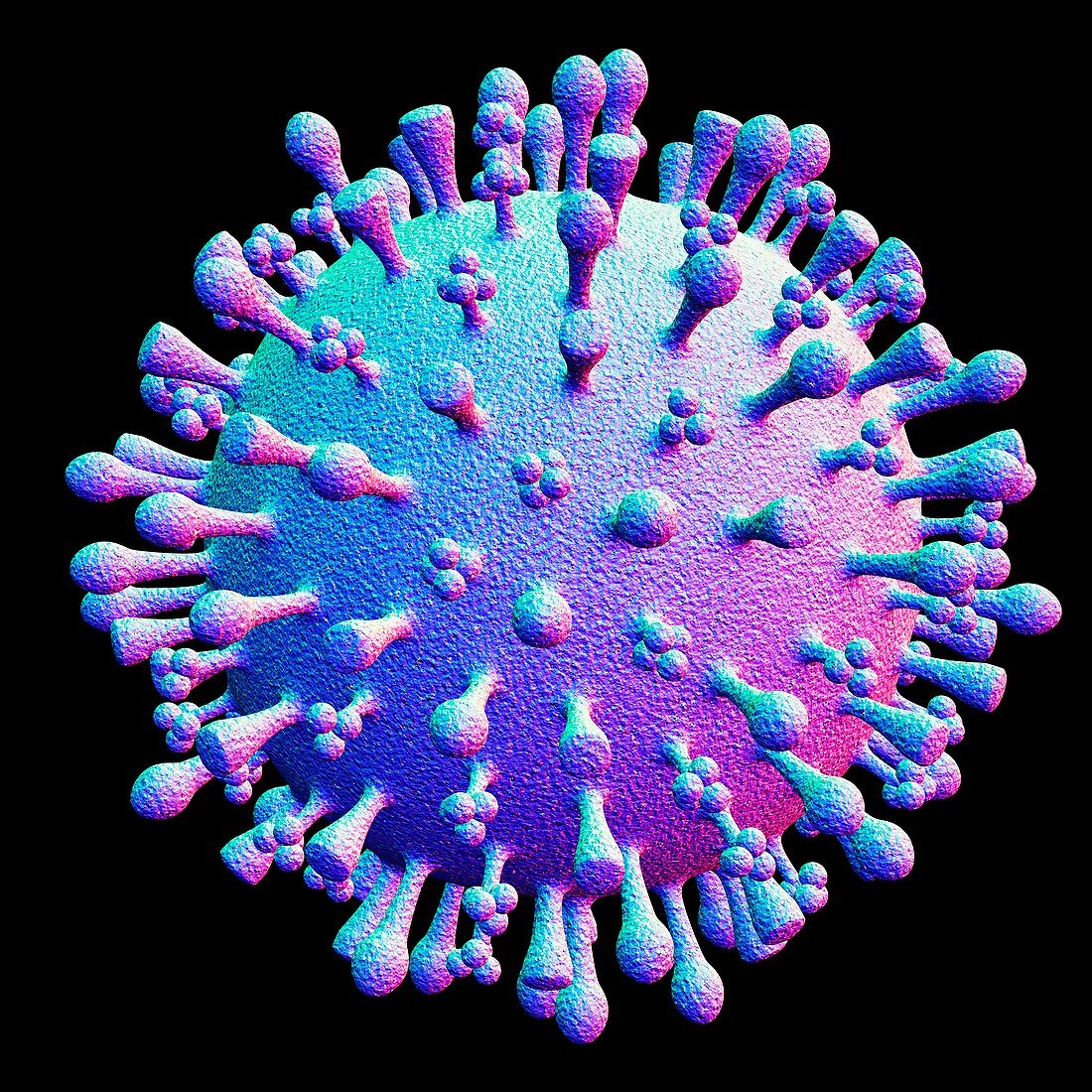 Avian flu virus particle,artwork