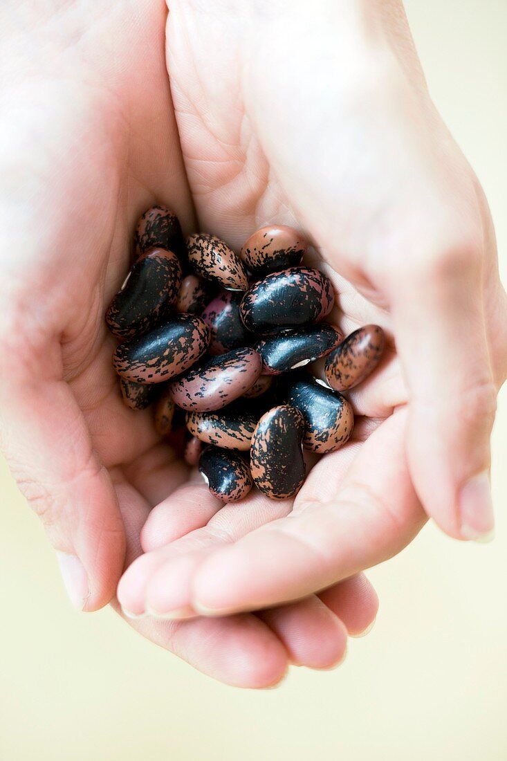 Runner beans