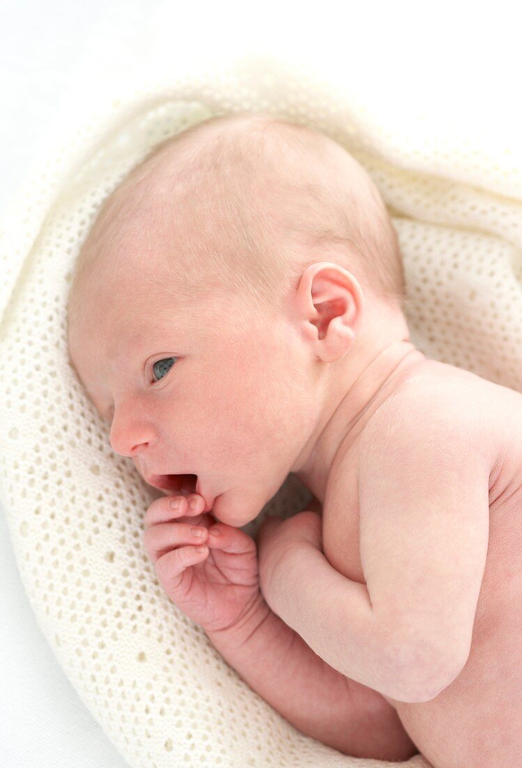 Newborn baby boy