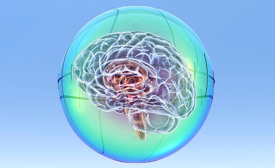 Brain in sphere,computer artwork