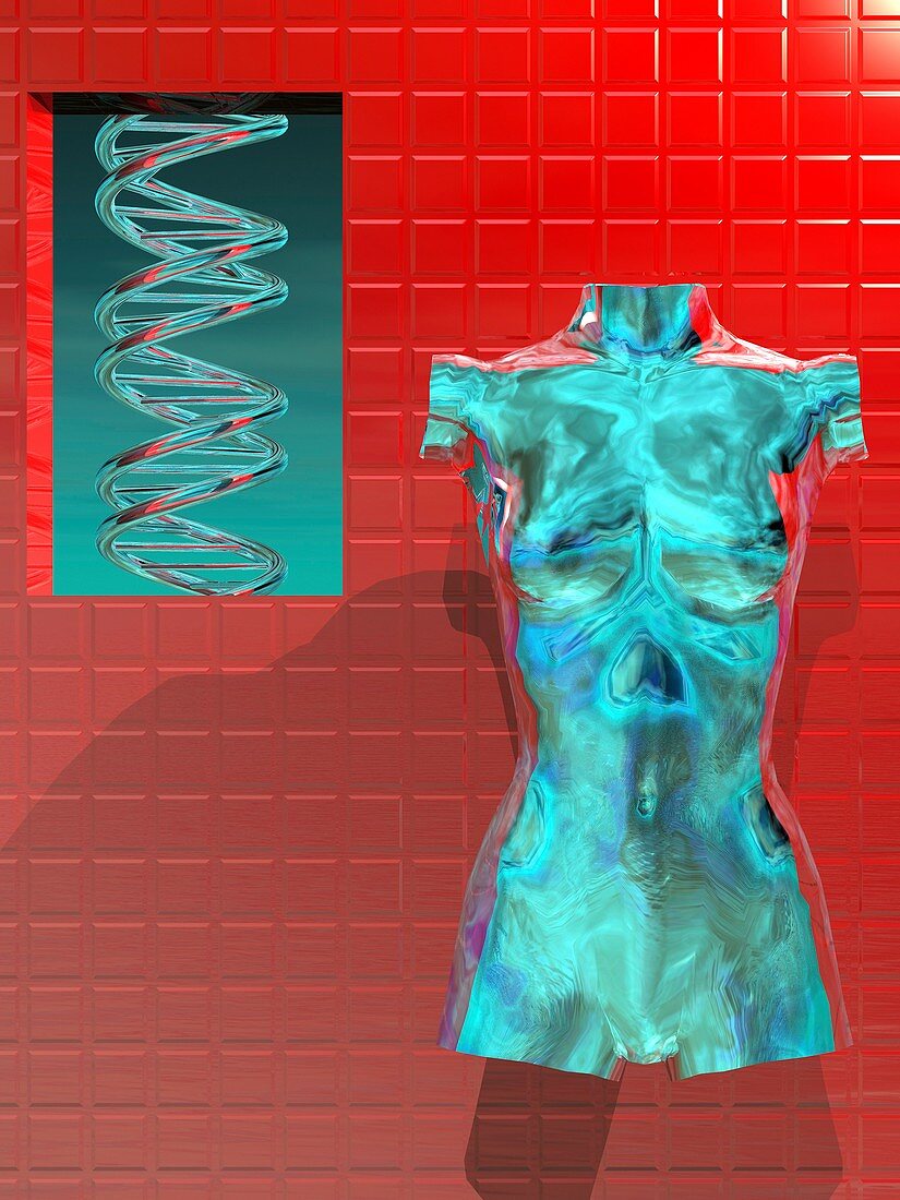 Human genome,conceptual artwork