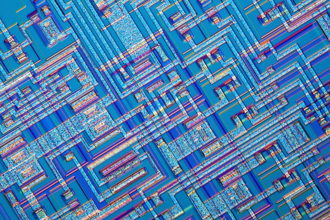 Microchip,light micrograph