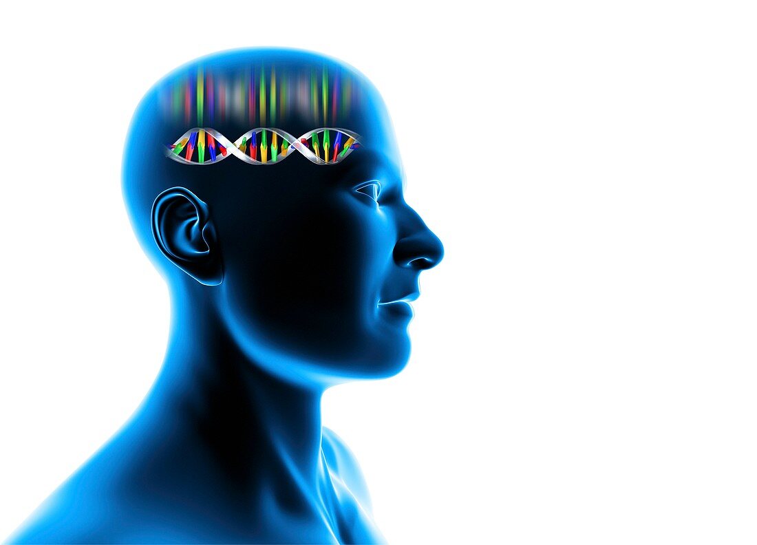 Genetic individuality,male Head with DNA