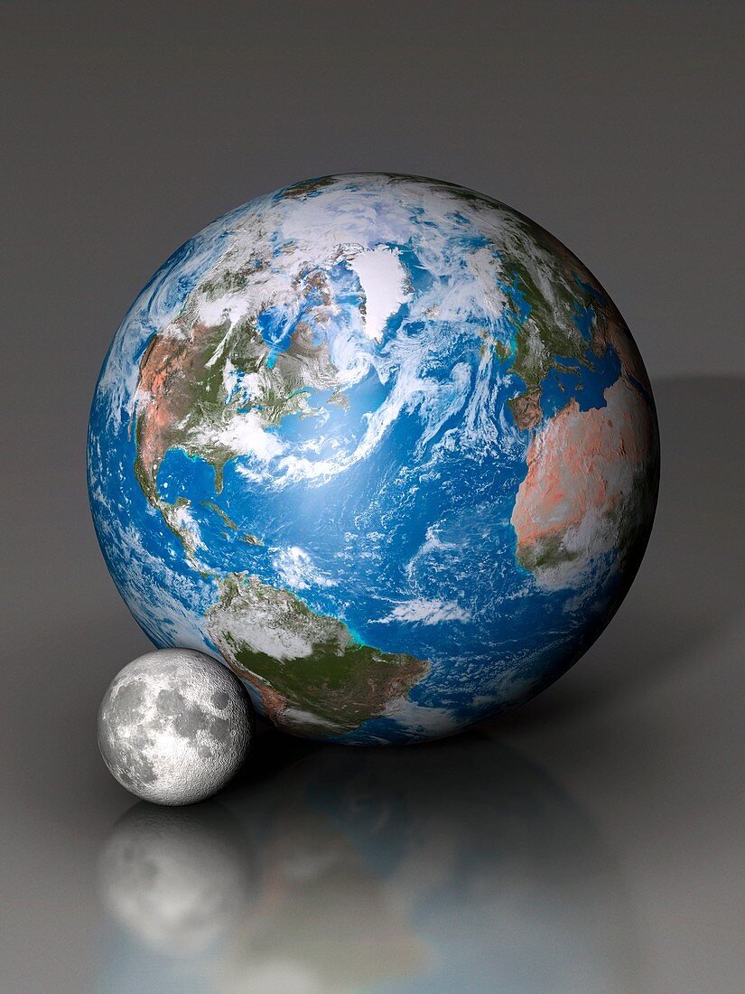 Earth and Moon compared