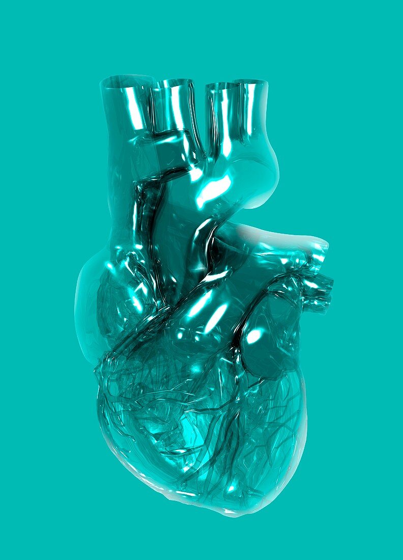 Plastic artificial heart,artwork