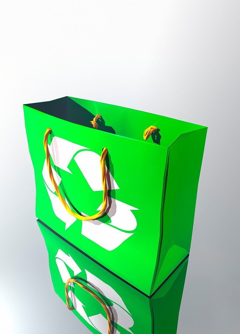 Reusable shopping bag,artwork
