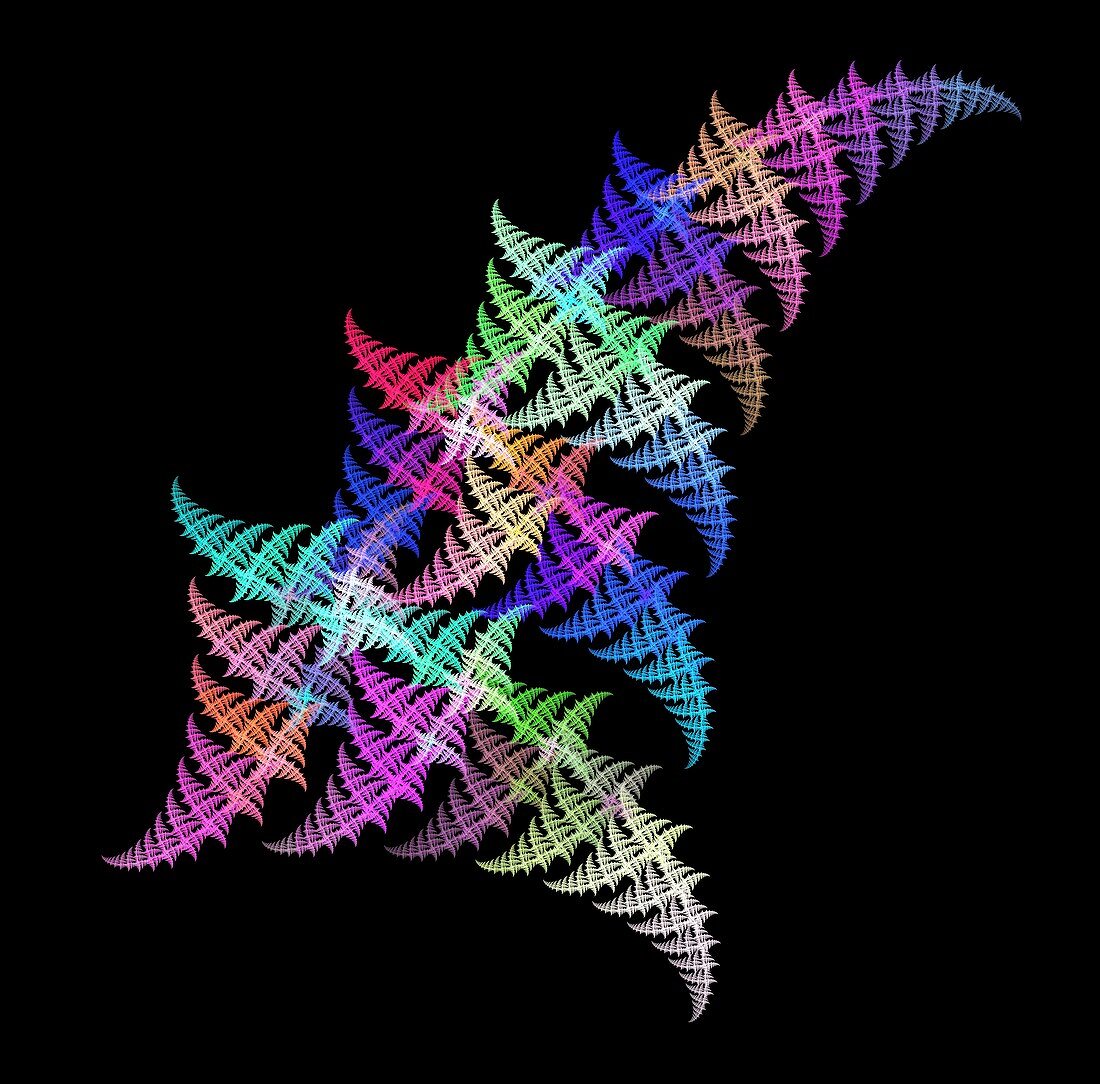 Fractal fern,computer artwork