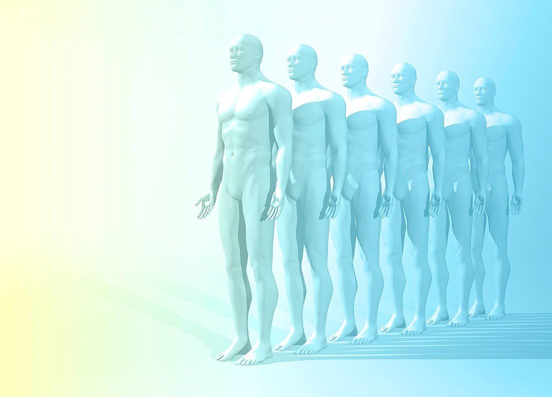 Human cloning,conceptual artwork