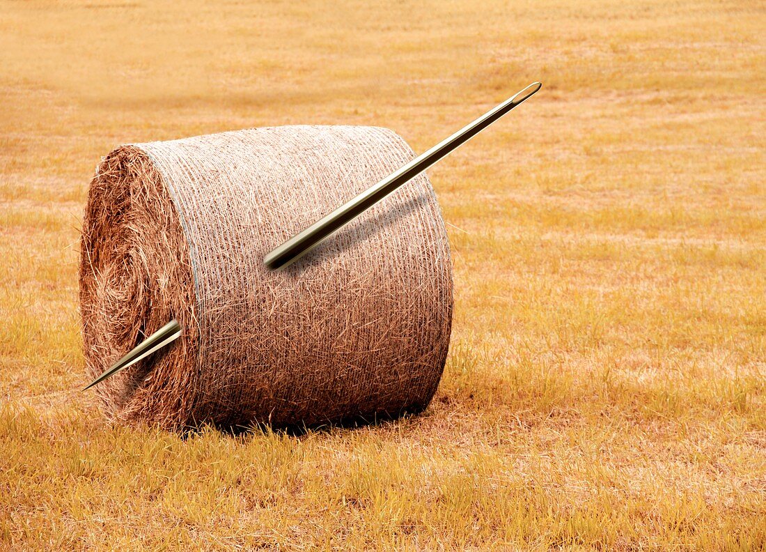 Needle in a haystack,conceptual artwork