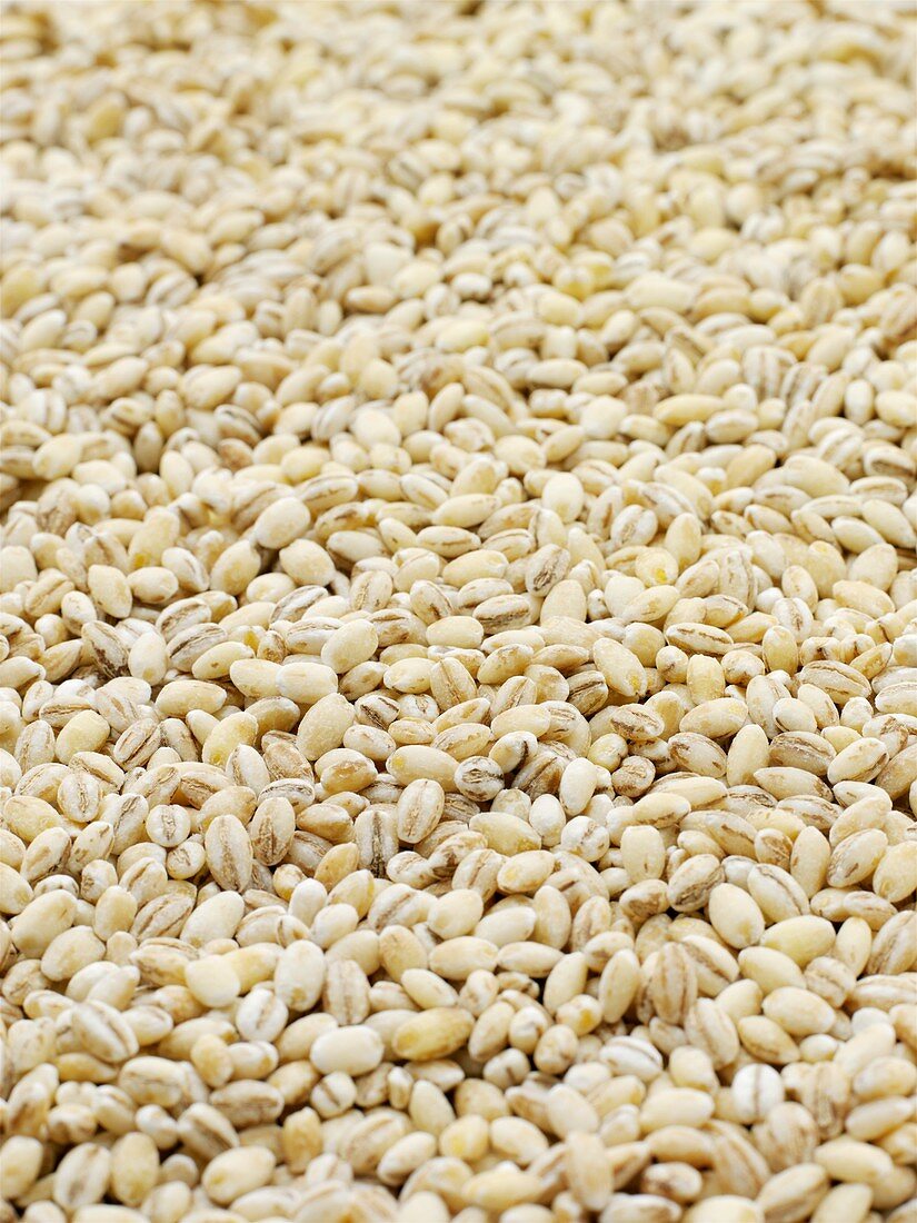 Pearl barley