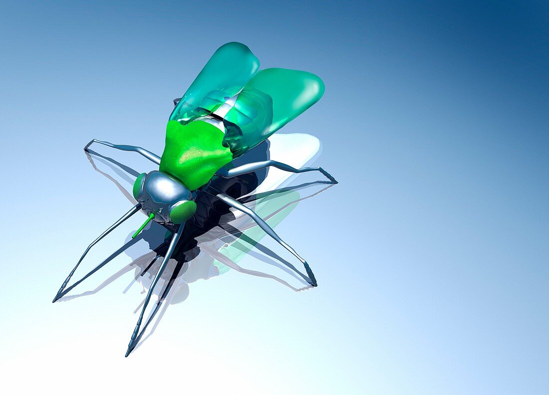 Robotic fly,artwork