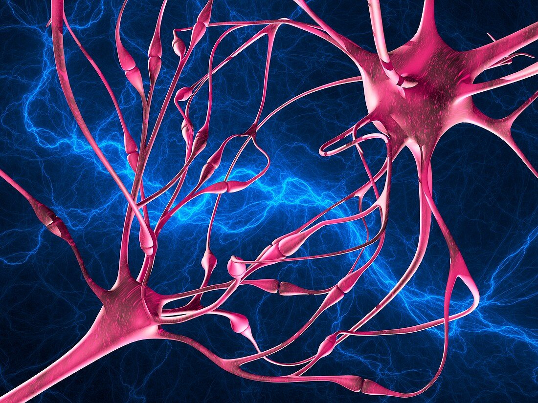 Nerve synapses,artwork