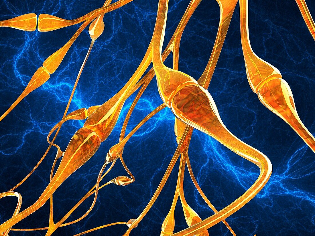 Nerve synapses,artwork