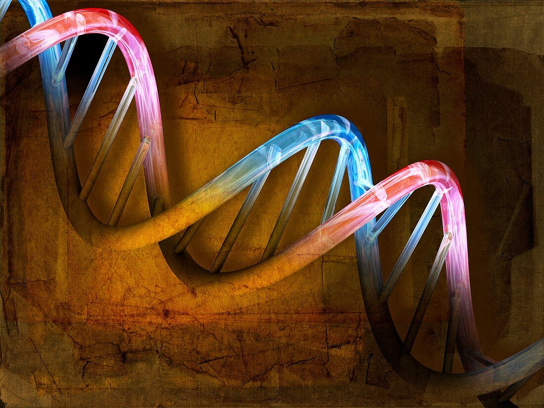 DNA molecule,artwork