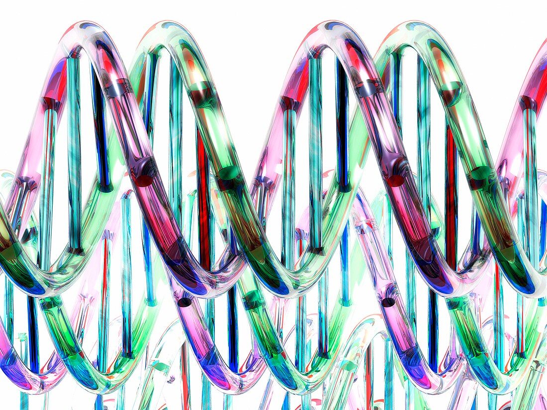 DNA molecules,artwork