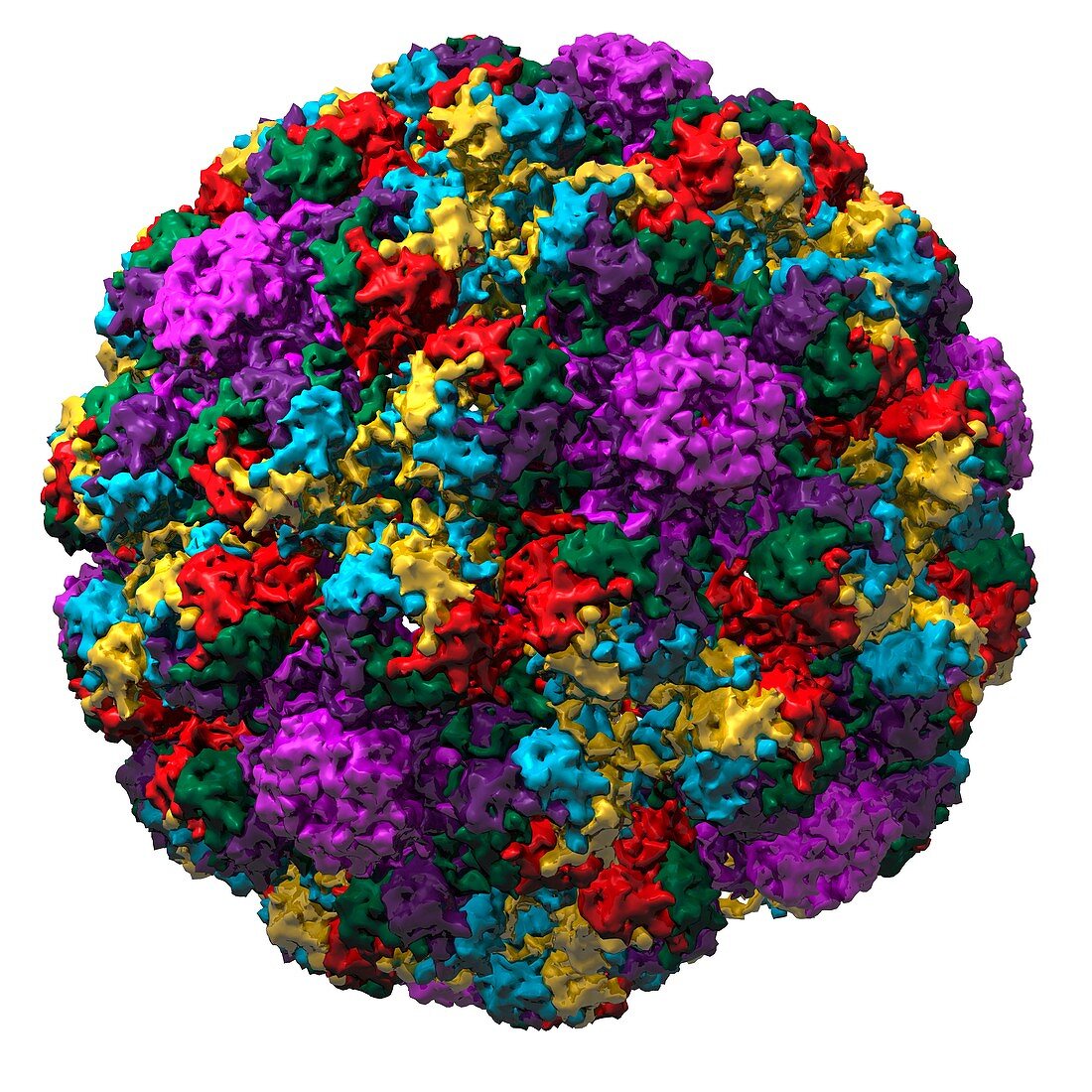 Simian virus 40 particle,molecular model