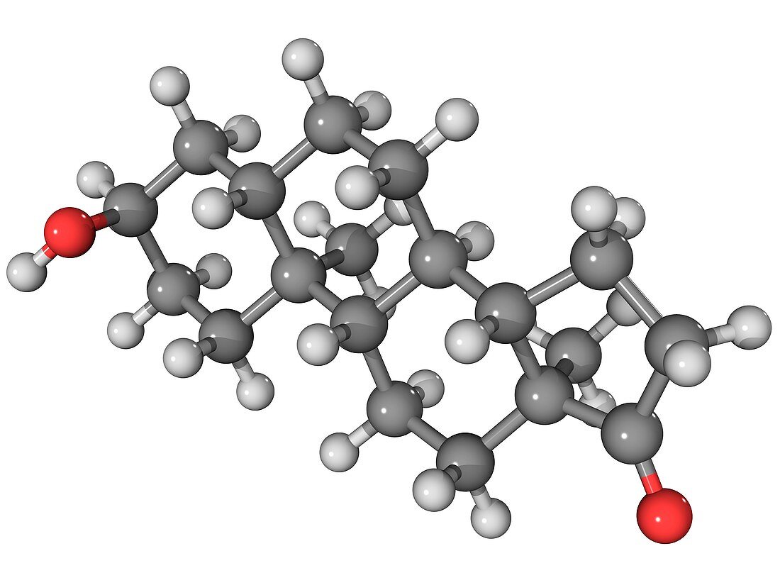 Androsterone hormone molecule