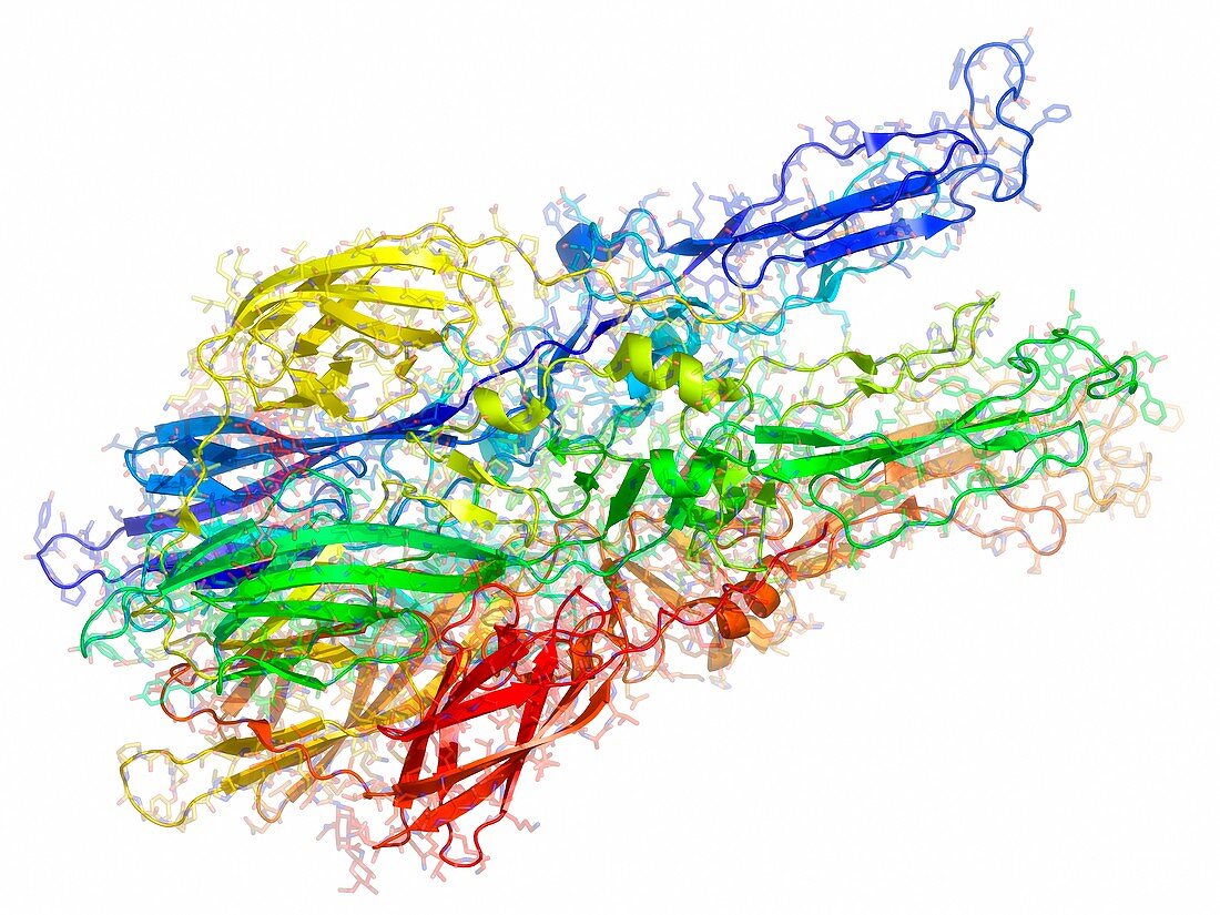 Semliki forest virus fusion protein