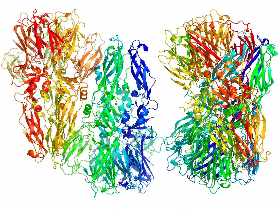 Tick-borne encephalitis virus protein