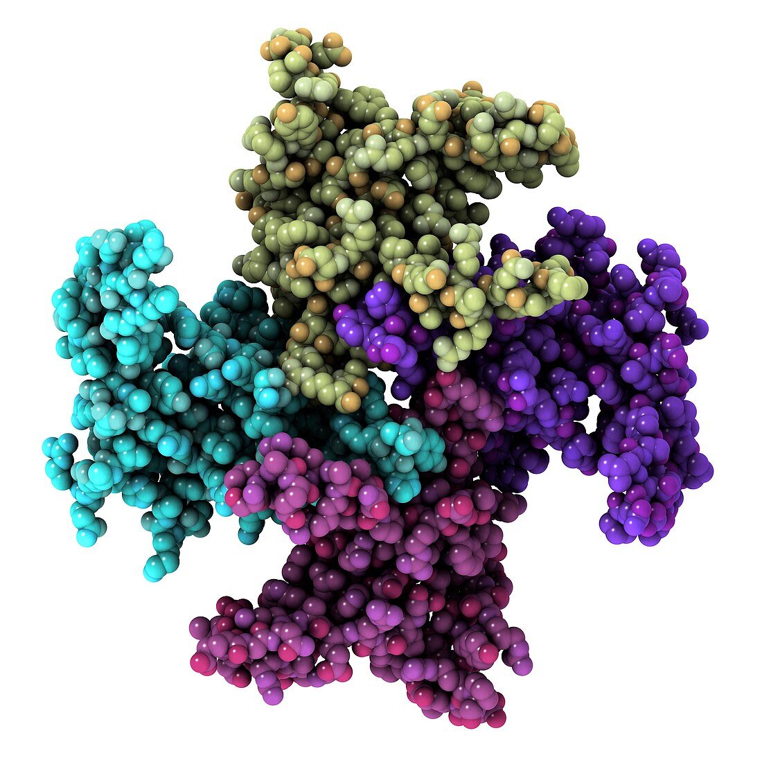Mitochondrial RNA binding proteins