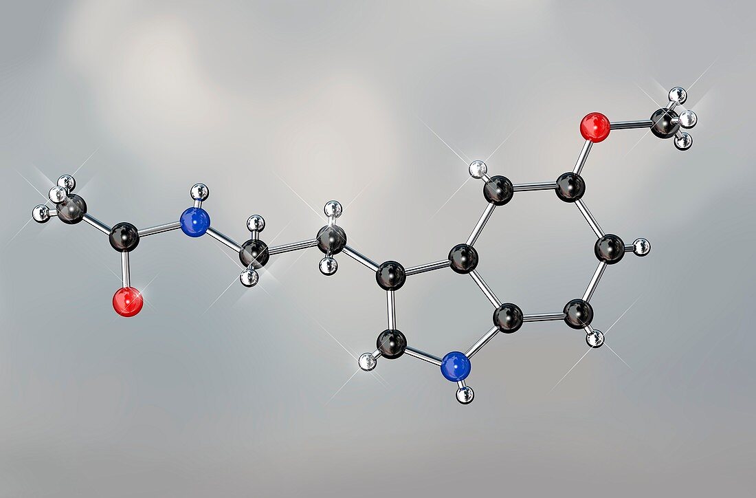 Melatonin hormone molecule