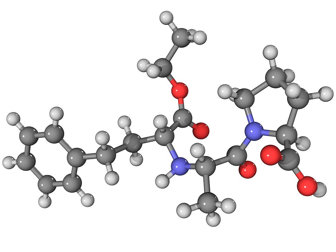 Enalapril ACE inhibitor molecule