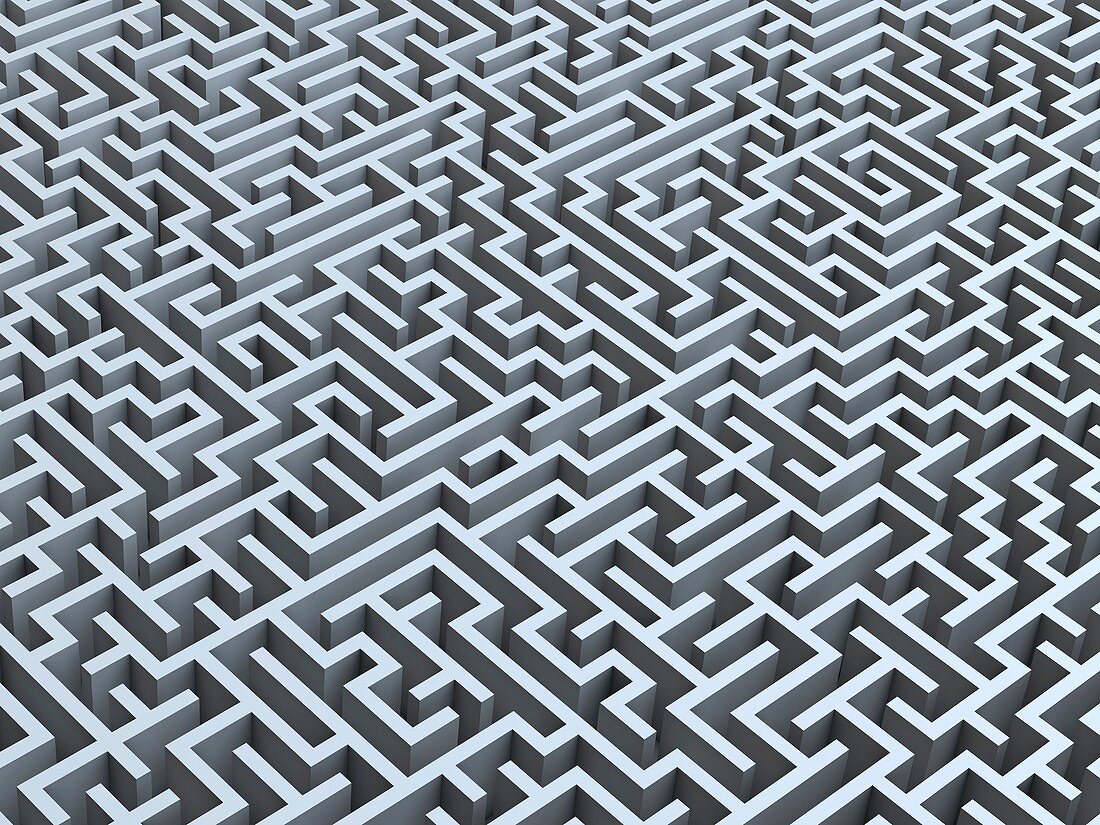 Maze,artwork