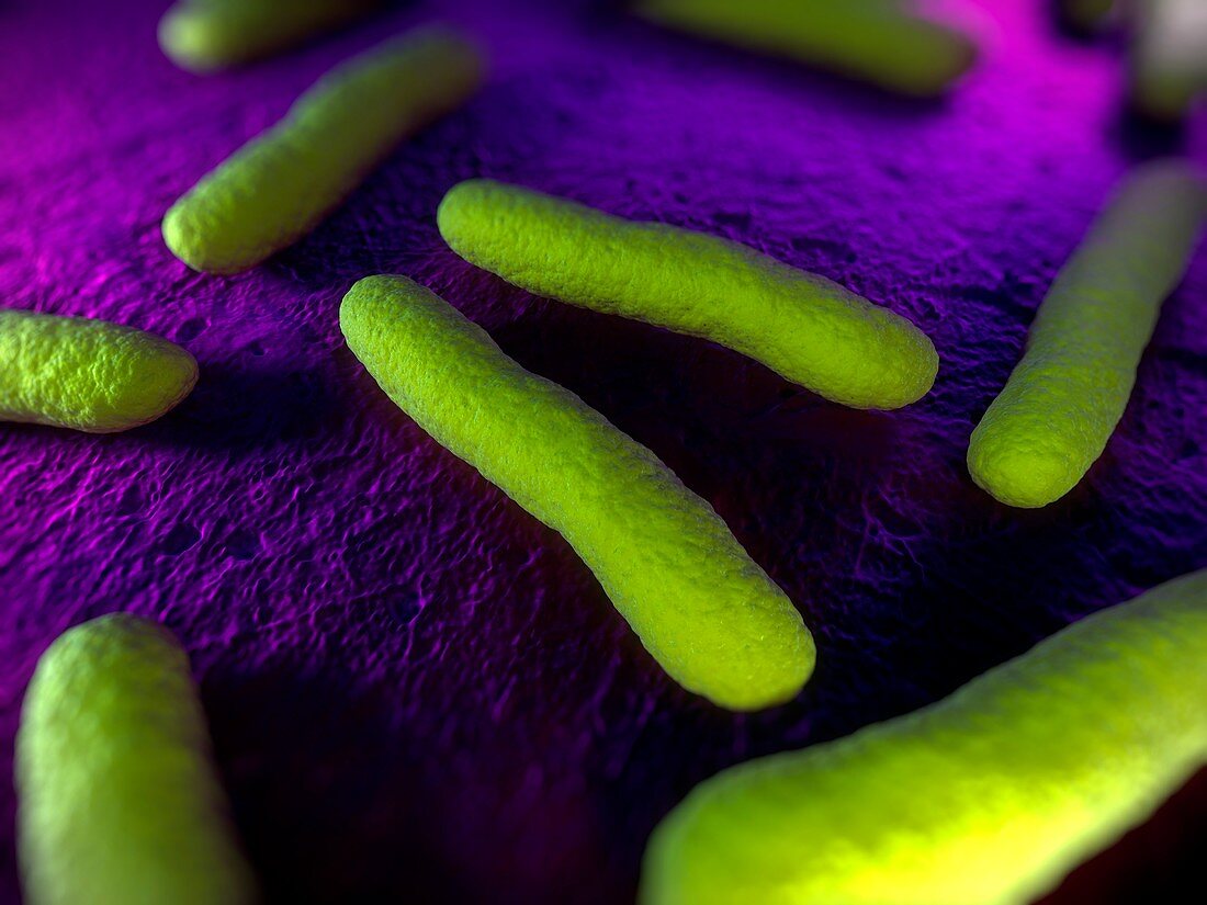 Bacteria,conceptual artwork