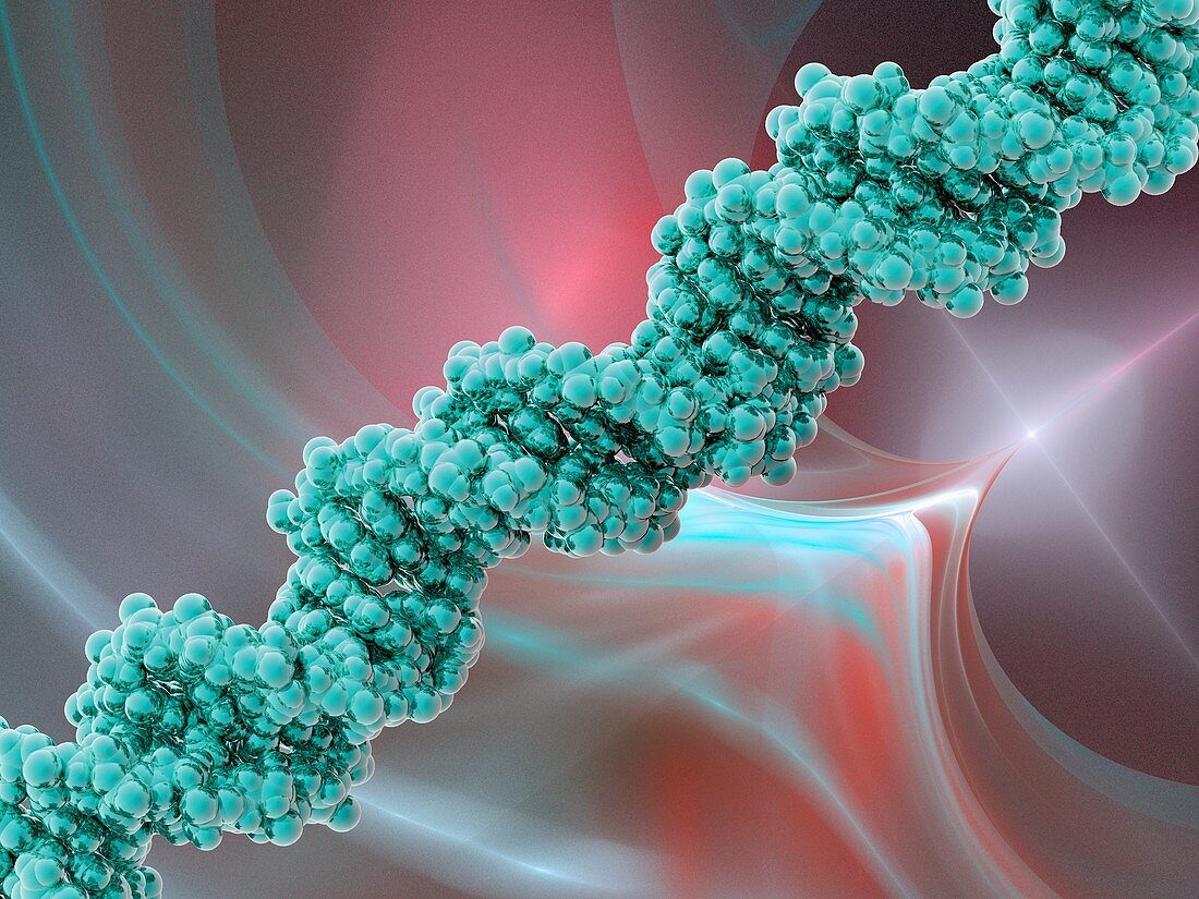 DNA molecule,artwork