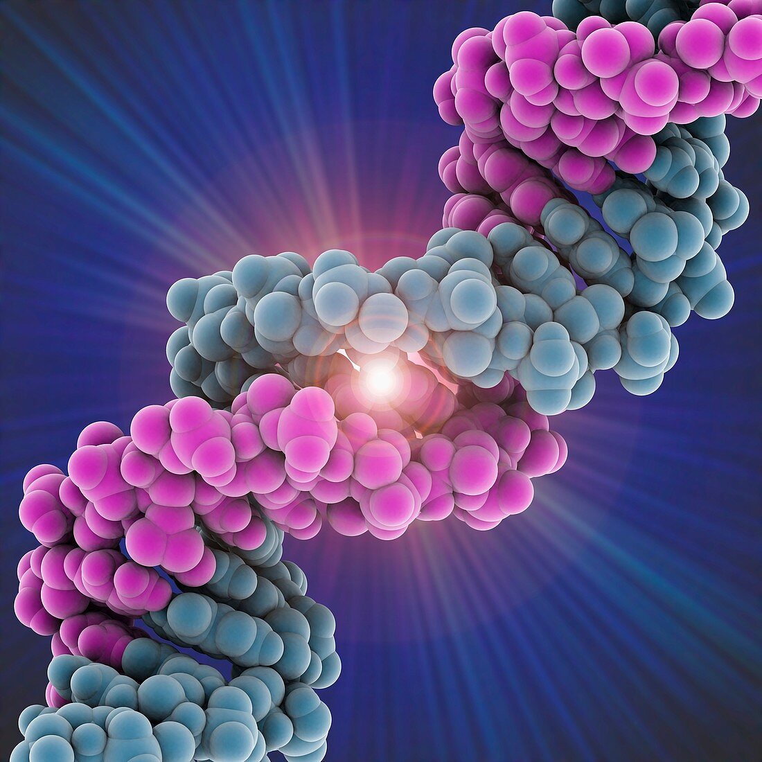 DNA molecule,artwork