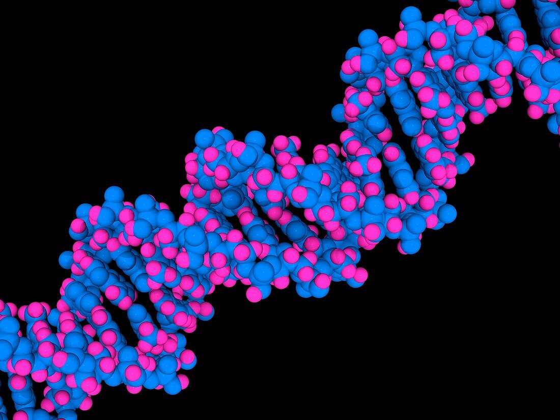 DNA molecule,artwork